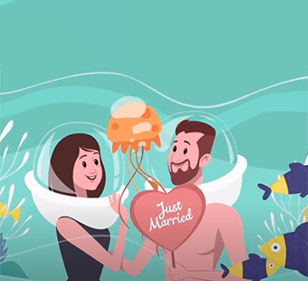Promotional Video Graphics — Motion Design by Moz Digitals
